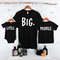 MR-1062023124410-big-middle-little-shirts-funny-matching-sibling-shirts-image-1.jpg