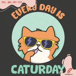 everyday is caturday svg, trending svg, funny cat