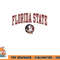 Florida State Seminoles Arch Over Officially Licensed Sweatshirt copy.jpg