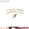 Florida State Seminoles Vintage Arrowhead png, digital download copy.jpg