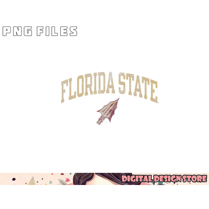 Florida State Seminoles Vintage Arrowhead png, digital download copy.jpg