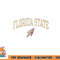 Florida State Seminoles Vintage Arrowhead png, digital download copy.jpg