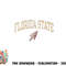 Florida State Seminoles Vintage Arrowhead png, digital download copy.jpg