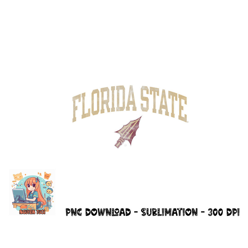Florida State Seminoles Vintage Arrowhead png, digital download copy.jpg