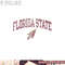 Florida State Seminoles Vintage Arrowhead White png, digital download copy.jpg