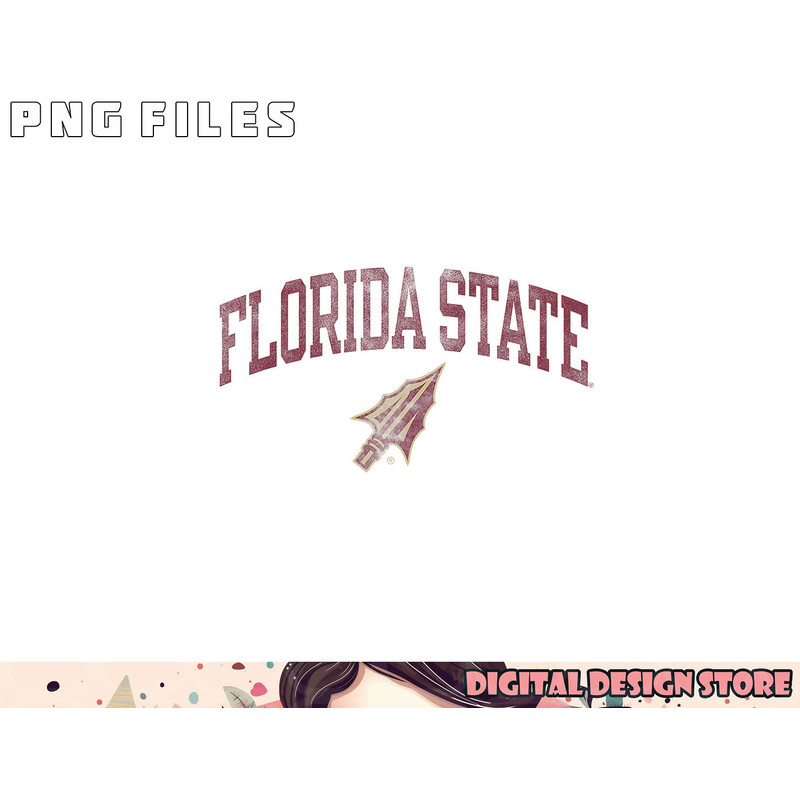 Florida State Seminoles Vintage Arrowhead White png, digital download copy.jpg