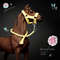499-schleich-horse-tack-accessories-model-toy-halter-and-lead-rope-custom-accessory-MariePHorses-Marie-P-Horses.png