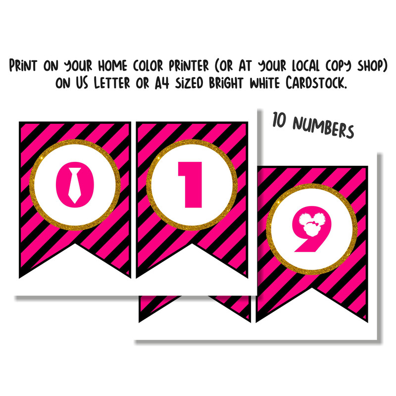 Banner Boss Baby Girl 4.jpg