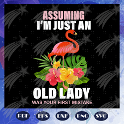 assuming im just an old lady was your first mistake, lady svg, lady, old lady, old lady gift, old lady birthday, lady li