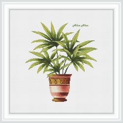 Cross stitch pattern tree decorative palm Livistona planters evergreen nature indoor plants counted crossstitch patterns