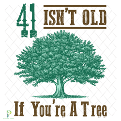 41 isnt old if you are a tree svg, birthday svg,