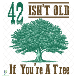 42 isnt old if you are a tree svg, birthday svg,