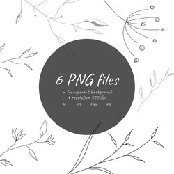 hand drawn floral elements