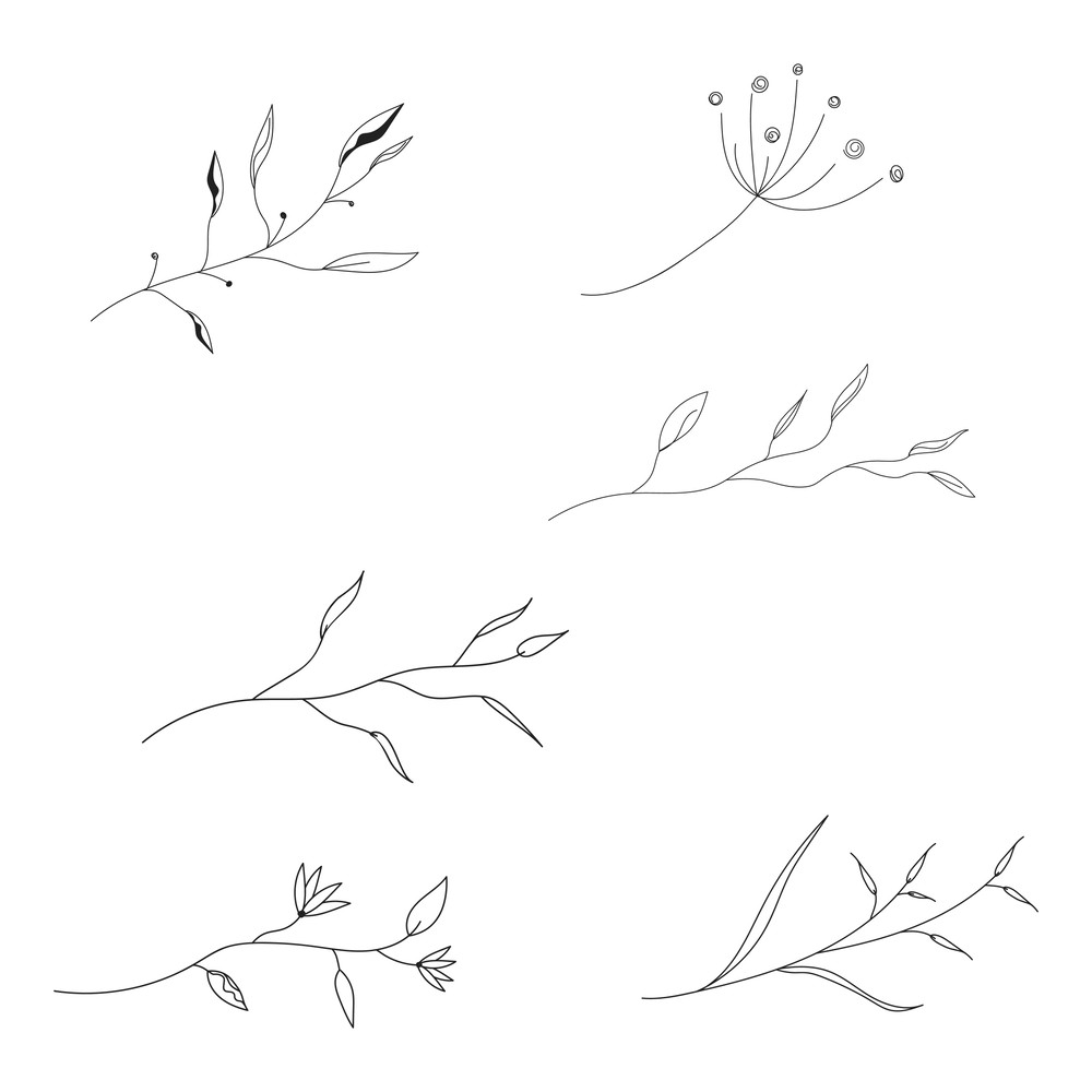 plants line art.jpg