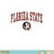 Florida State Seminoles Arch Over Officially Licensed Sweatshirt copy.jpg