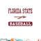 Florida State Seminoles Baseball Logo Officially Licensed png, digital download copy.jpg