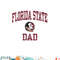 Florida State Seminoles Dad Icon Officially Licensed png, digital download copy.jpg