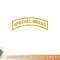 Special Needs png, digital download copy.jpg