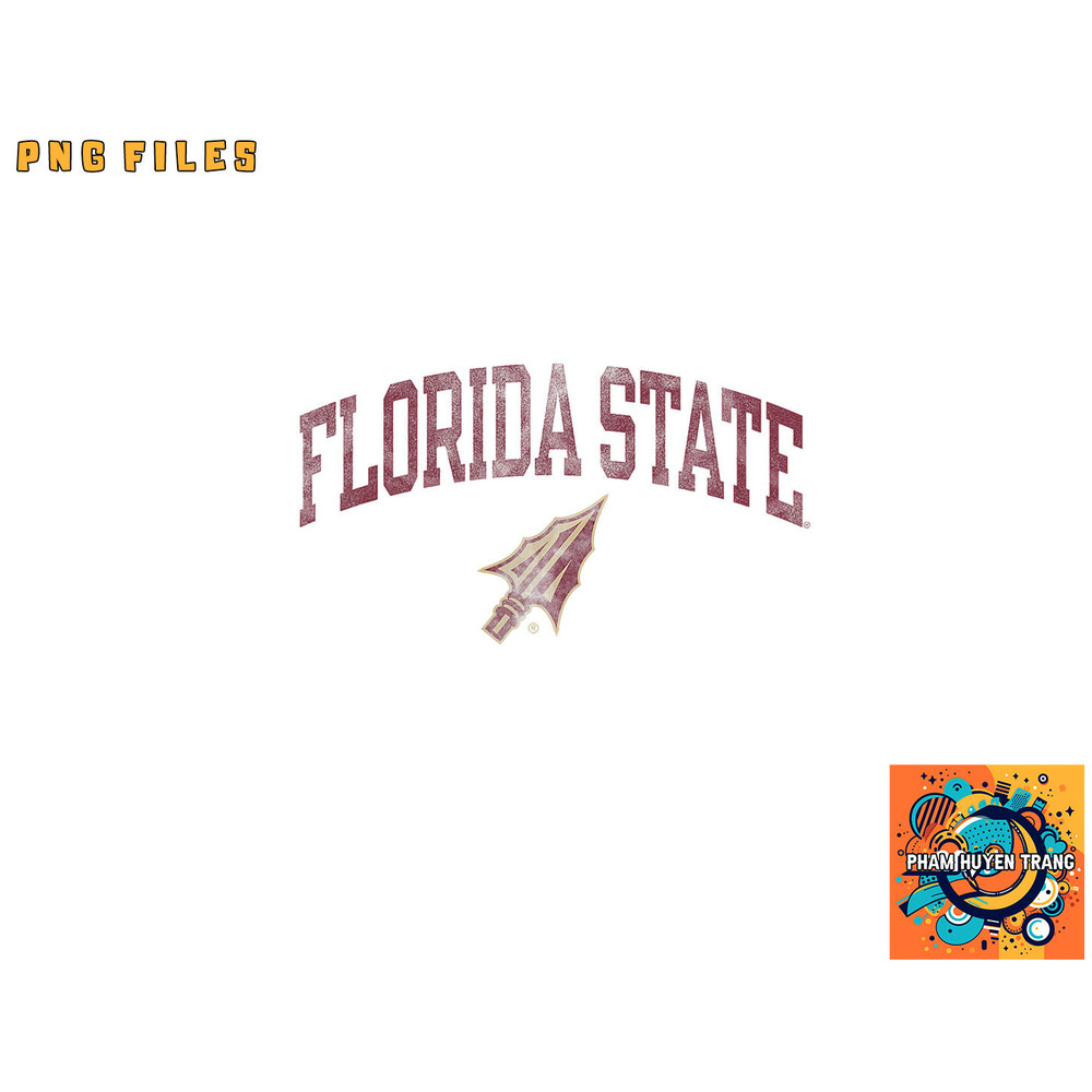 Florida State Seminoles Vintage Arrowhead White png, digital download copy.jpg