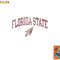 Florida State Seminoles Vintage Arrowhead White png, digital download copy.jpg