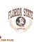 Florida State Seminoles Victory Vintage Officially Licensed Sweatshirt copy.jpg