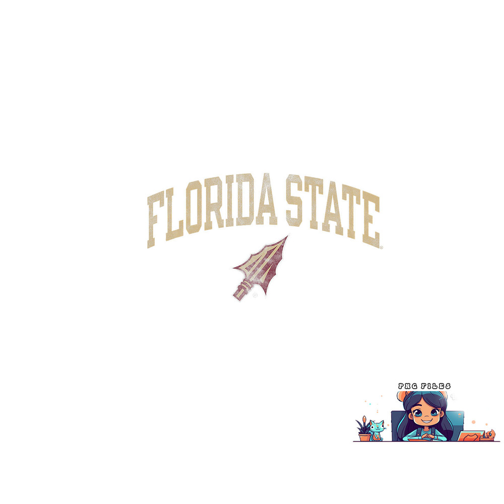 Florida State Seminoles Vintage Arrowhead png, digital download copy.jpg