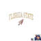 Florida State Seminoles Vintage Arrowhead png, digital download copy.jpg