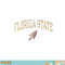 Florida State Seminoles Vintage Arrowhead png, digital download copy.jpg