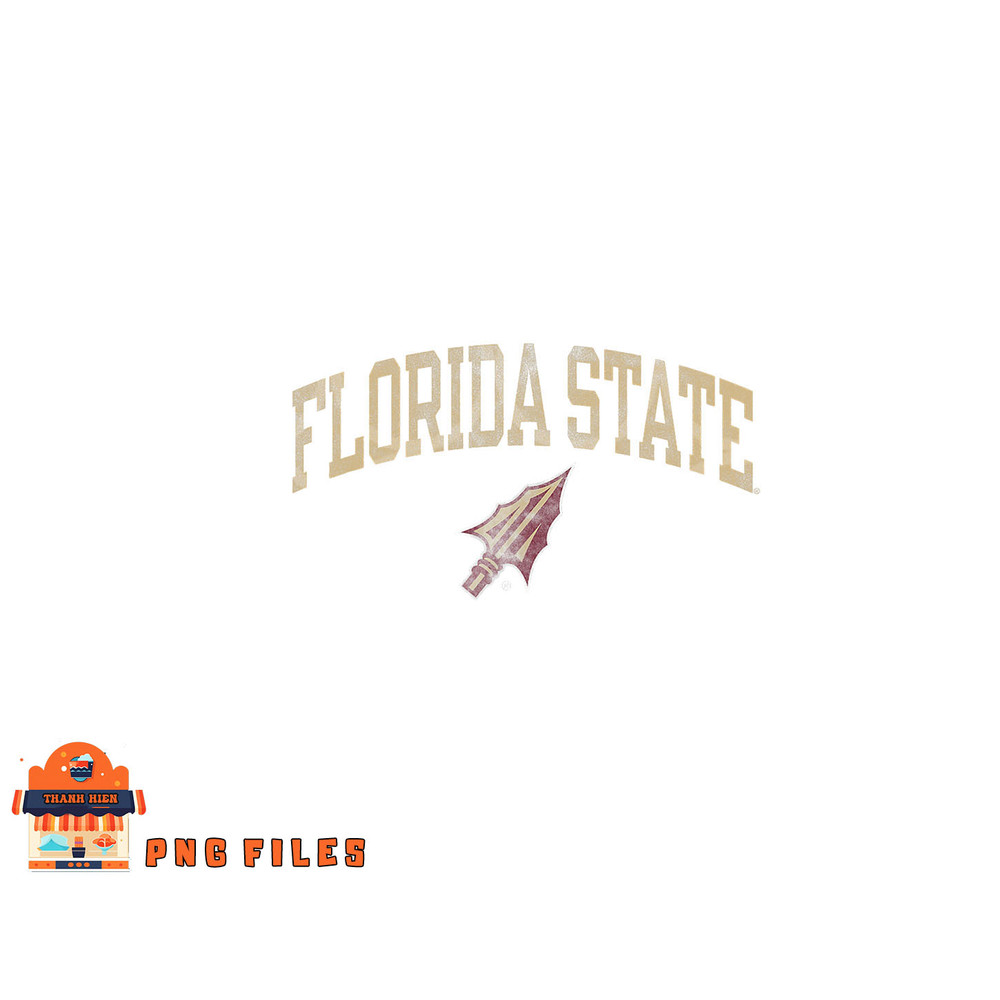 Florida State Seminoles Vintage Arrowhead png, digital download copy.jpg