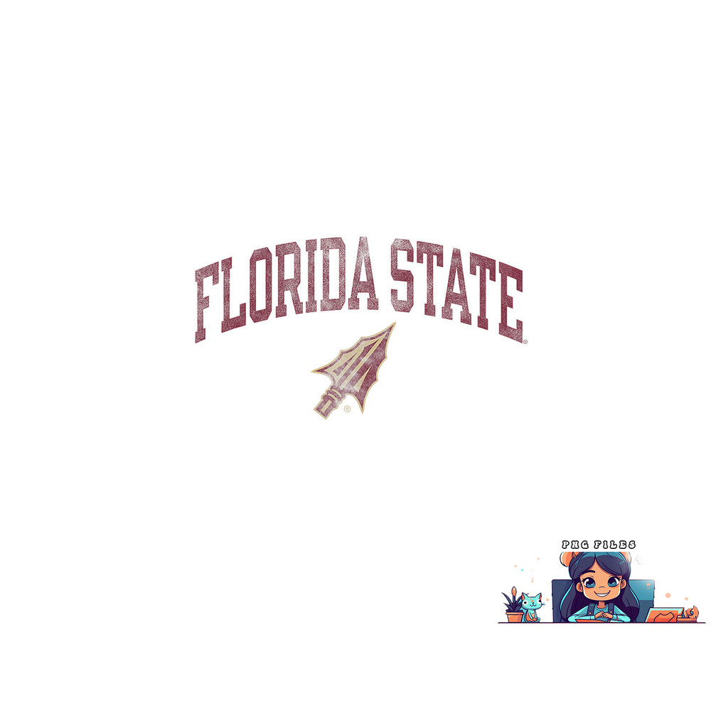 Florida State Seminoles Vintage Arrowhead White png, digital download copy.jpg