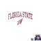 Florida State Seminoles Vintage Arrowhead White png, digital download copy.jpg