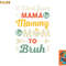 Funny Mothers Day design I Went from Mama for wife and mom png, digital download copy.jpg