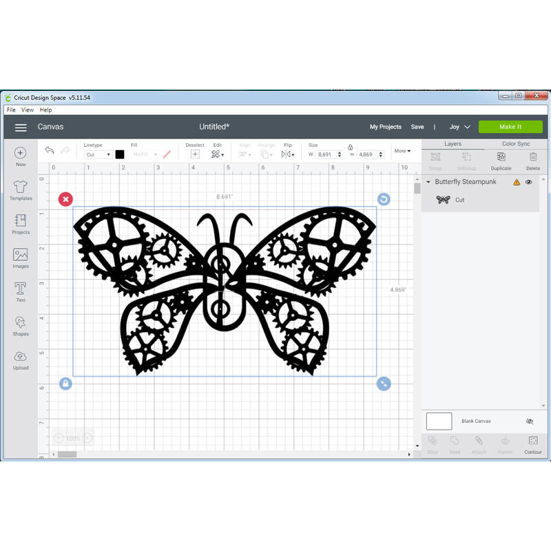 Butterfly Steampunk 3.png