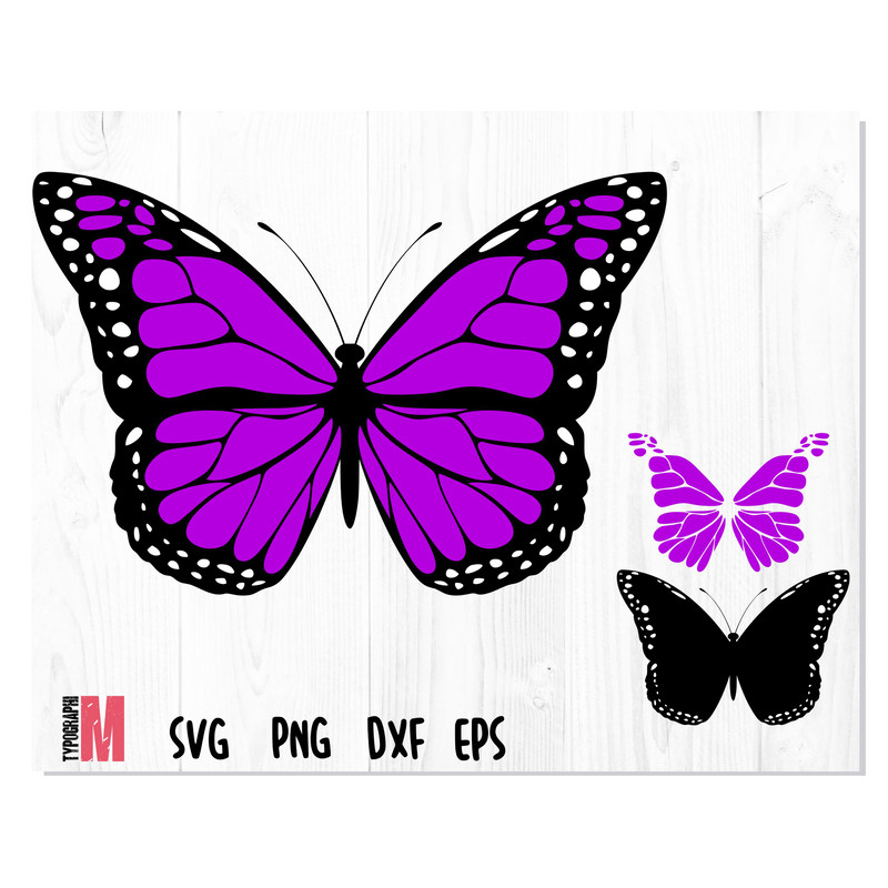 Butterfly_Violet_layered 1.jpg