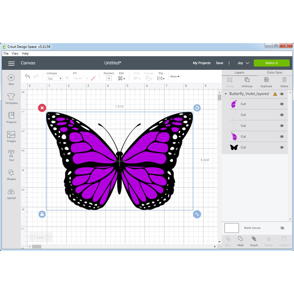 Butterfly_Violet_layered 3.png