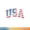 USA Shirt Women Men Kids Patriotic American Flag 4th of July png, digital download copy.jpg