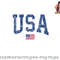 USA Shirt Women Men Kids Patriotic American Flag Distressed png, digital download copy.jpg