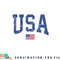 USA Shirt Women Men Kids Patriotic American Flag Distressed png, digital download copy.jpg