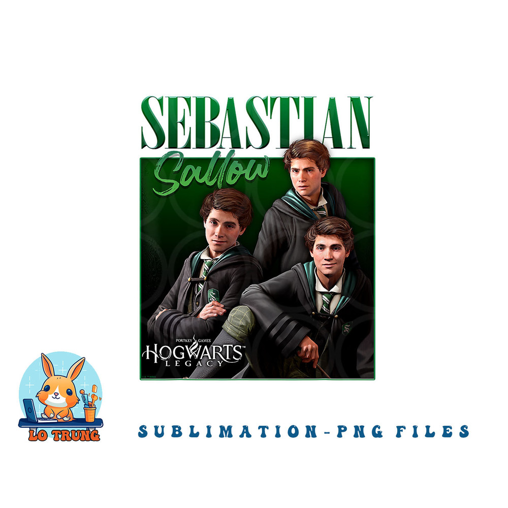 Harry Potter Hogwarts Legacy Sebastian Sallow Collage png, digital download copy.jpg