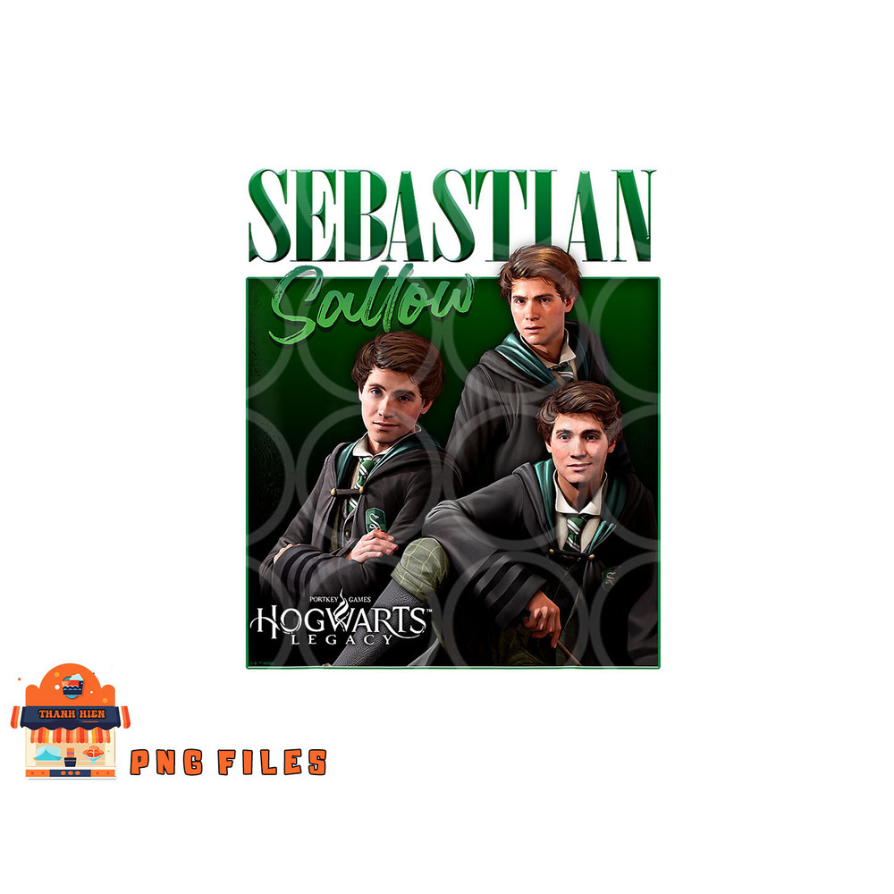 Harry Potter Hogwarts Legacy Sebastian Sallow Collage png, digital download copy.jpg