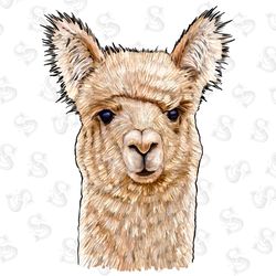 fainting goat png sublimation design,fainting goat