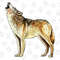 Arctic Wolf Png Sublimation Design, Hand Drawn Arctic Wolf Png, Arctic Wolf Portrait Png, Animal Png, Hand Drawn Wolf Png, Digital Download - 1.jpg