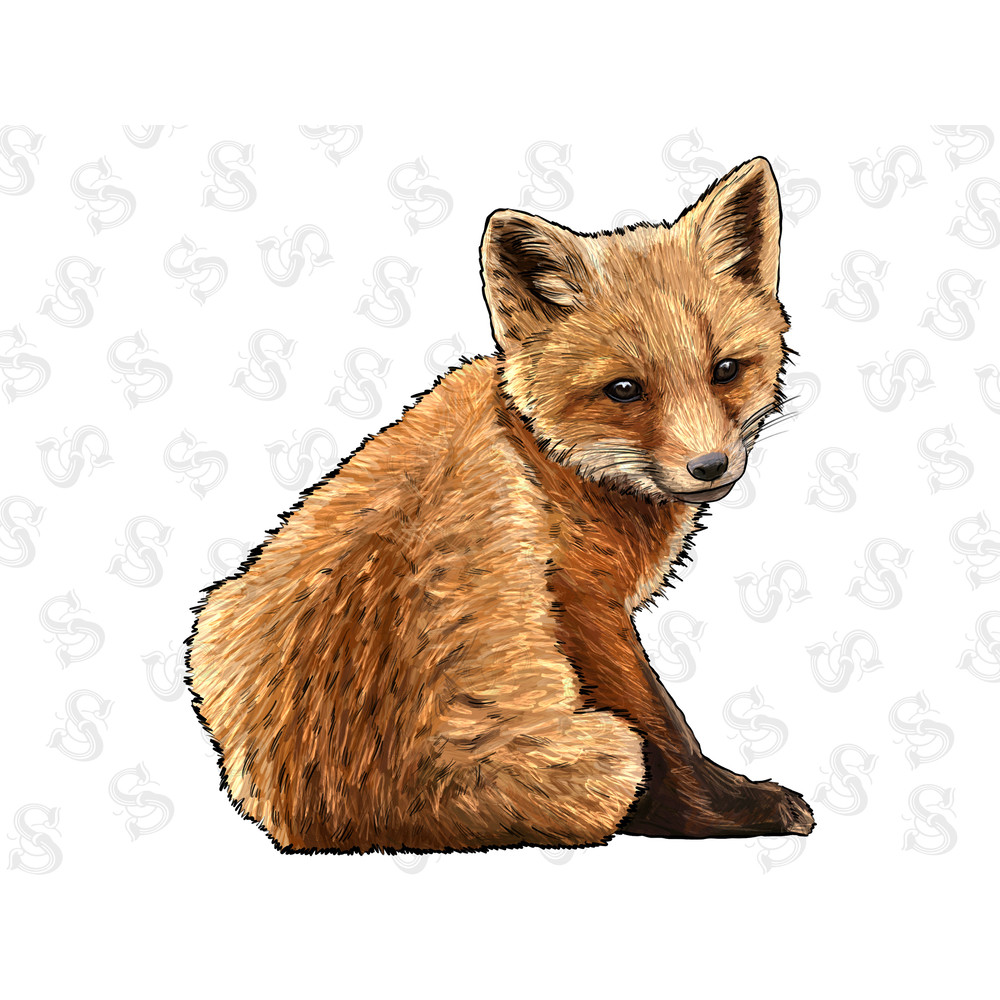 Baby Fox Png,Fox clip art,Cute Little Baby Fox,Gender Neutral,Seasonal Clip Art,Baby Fox Png,Fox Sublimation, Fox Png Download,Fox Png File - 1.jpg