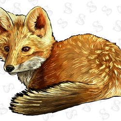 just a little moody american heifer png, just a li