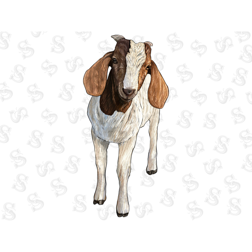 Boer Goat Png, Goat Png Sublimation Design, Goat Png, Hand Drawn Boer Goat Png, Barnyard Animals, Printable Goat Png, Digital Download - 1.jpg