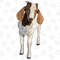 Boer Goat Png, Goat Png Sublimation Design, Goat Png, Hand Drawn Boer Goat Png, Barnyard Animals, Printable Goat Png, Digital Download - 1.jpg