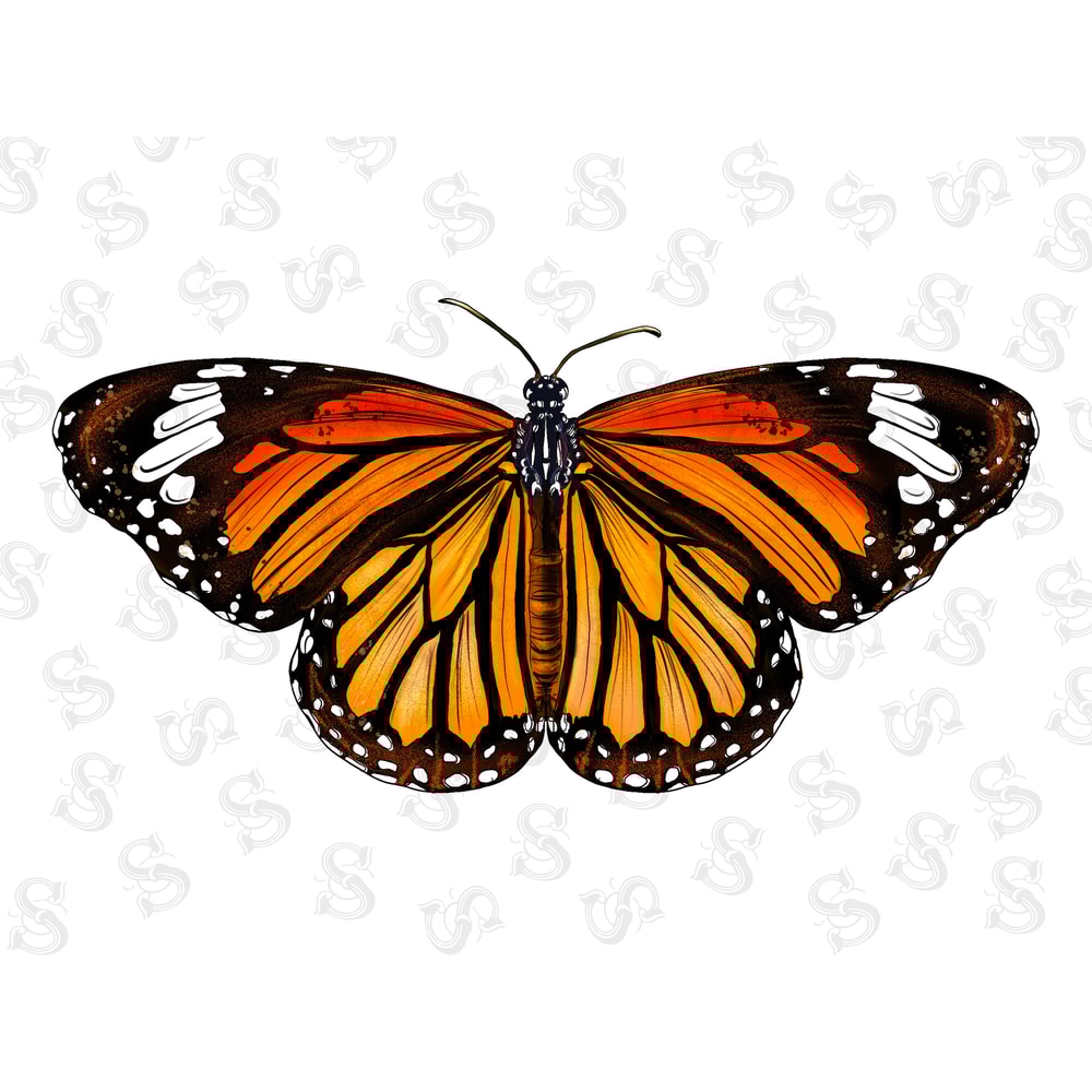 Butterfly Png,Butterfly Clipart,Colorful Butterfly Clipart,Butterfly,Butterflies Image Pack,Painted Butterflies Clipart,Watercolor Butterfly - 1.jpg