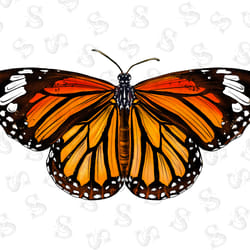 military boots design download, combat boots png,