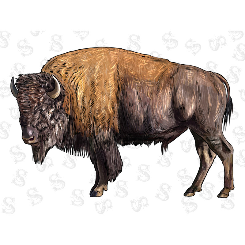 Buffalo PNG, Aztec Png, Bison PNG, Western PNG, Vintage Rodeo Sublimation, Western Sublimation, Cowboy Png, Retro Western Png - 1.jpg