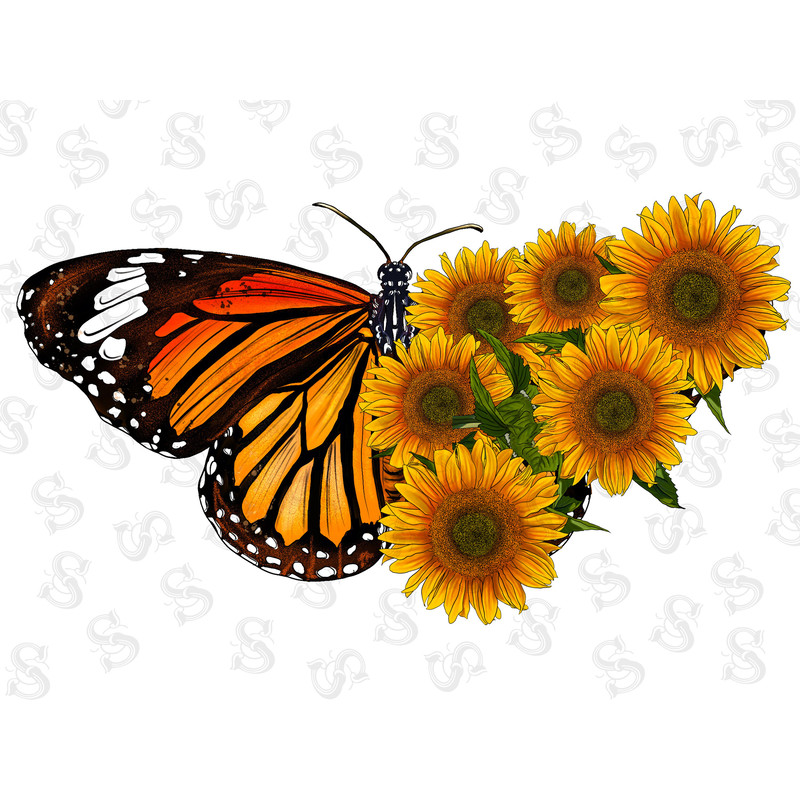 Butterfly Sunflower Png, Western, Butterfly Png, Sunflower Png, Country, Butterfly Design, Leopard, Sublimation Designs, Digital Download - 1.jpg